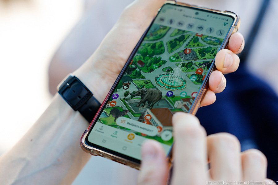 Последний транш: как Калининградский зоопарк завершает совместный с Евросоюзом проект (фото)