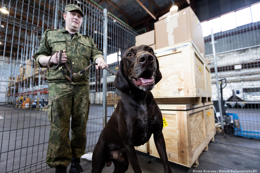 В таможенном управлении назвали претензии перевозчика Степанюка необоснованными