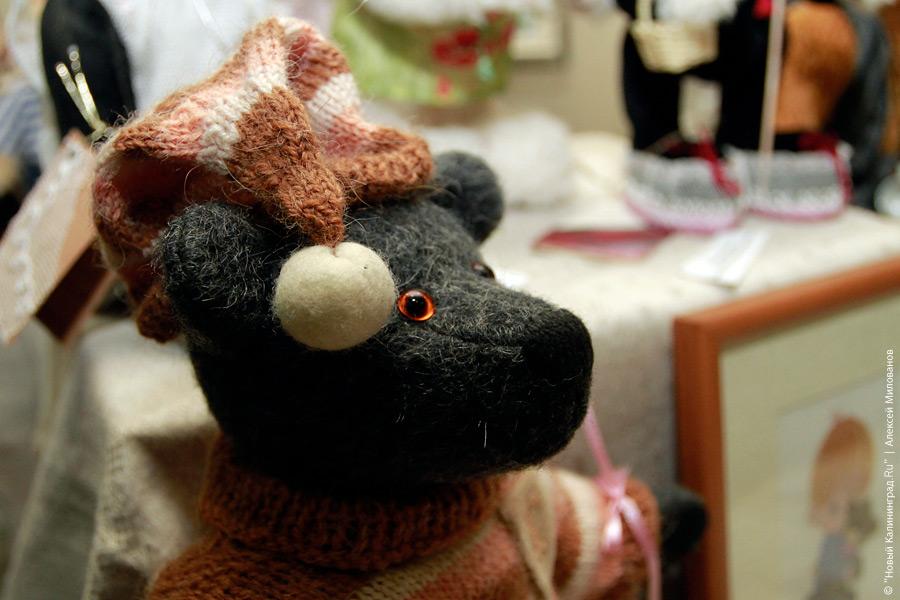 "Медвежонок Тедди и все-все-все": фоторепортаж "Нового Калининграда.Ru"