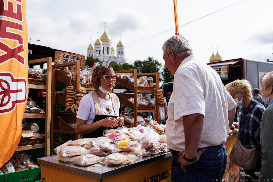 Базар-вокзал: как проходит сельхозярмарка на площади Победы в Калининграде
