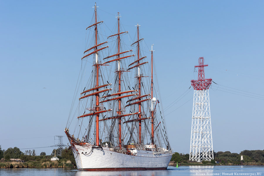 «Седов» заходит в морской канал. Посмотрите, как это красиво (фото)