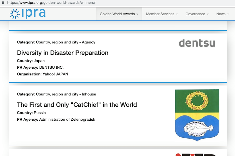 Котошеф Зеленоградска выиграл крупную международную PR-премию