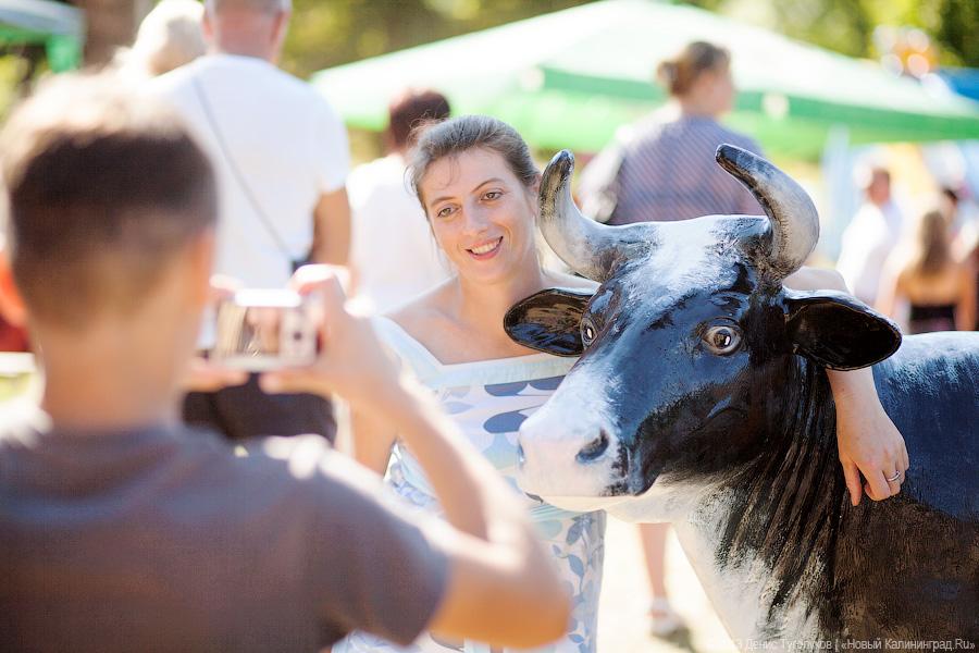 Колбасный Fest: В Славске прошел международный гастрономический фестиваль