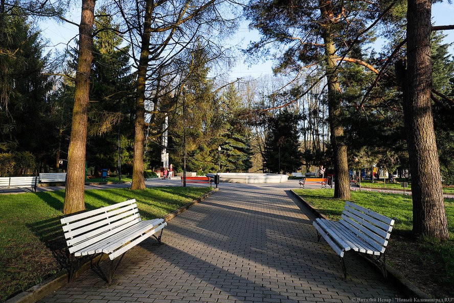 «Воздержаться от прогулок»: скверы Калининграда обрабатывают от клещей