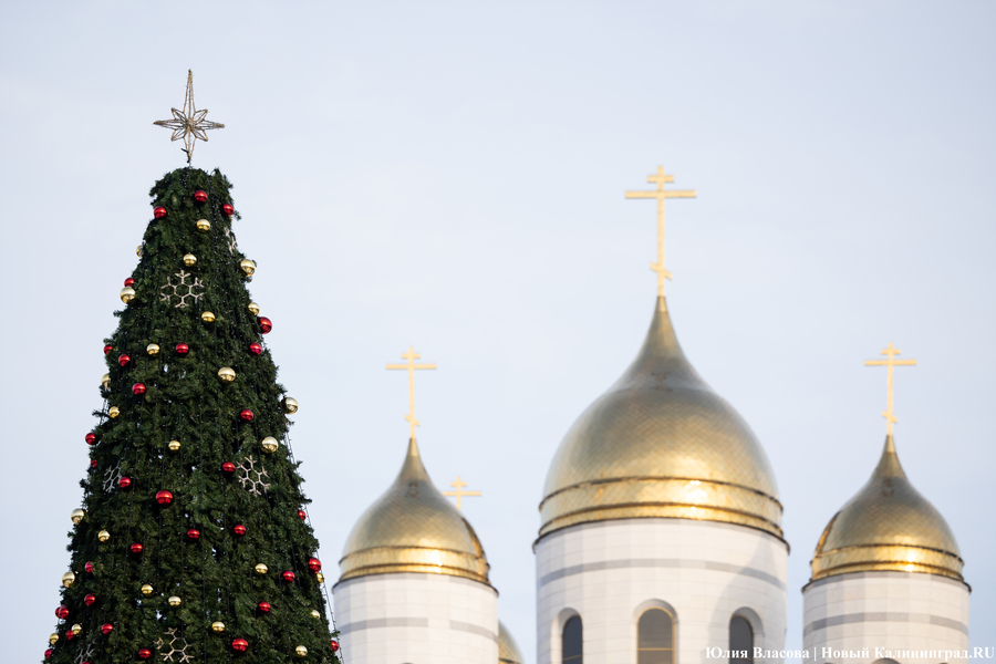 Символ без праздника: на площади Победы установили главную городскую ёлку (фото)