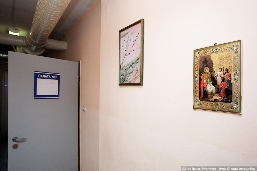 Доктор Лиза о хосписе в Калининграде: «Я в ужасе от вашего правительства»