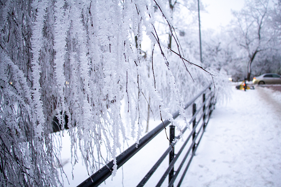 Не исключены локальные заряды снега: погода в Калининградской области 12 января