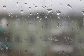 Синоптики обещают на этой неделе прохладу и частые дожди