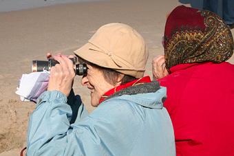 Власть предложила новый вариант пенсионной реформы