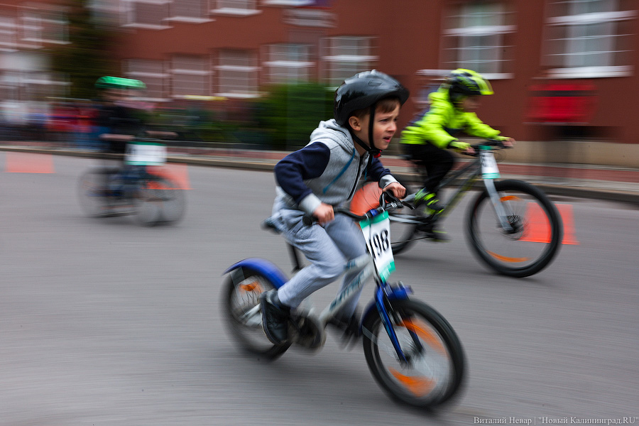 Лыжи, велики, унициклы: как прошёл велопарад в Калининграде (фото)