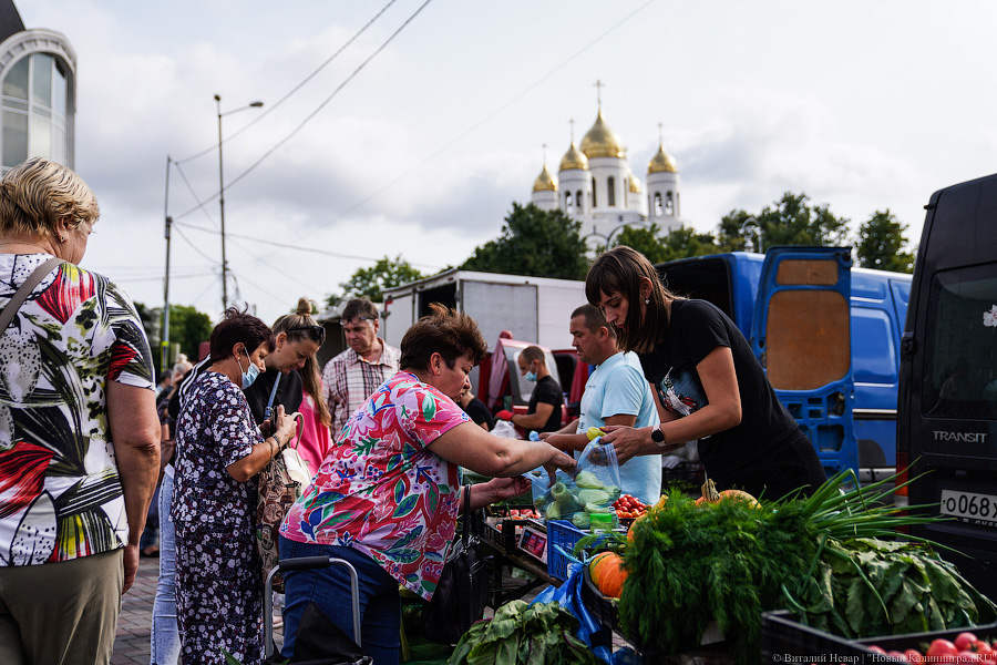 В Калининграде возобновляется работа сельхозярмарки выходного дня на площади Победы