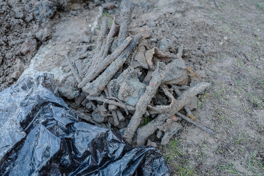 На острове Канта нашли костные останки нескольких человек (фото)