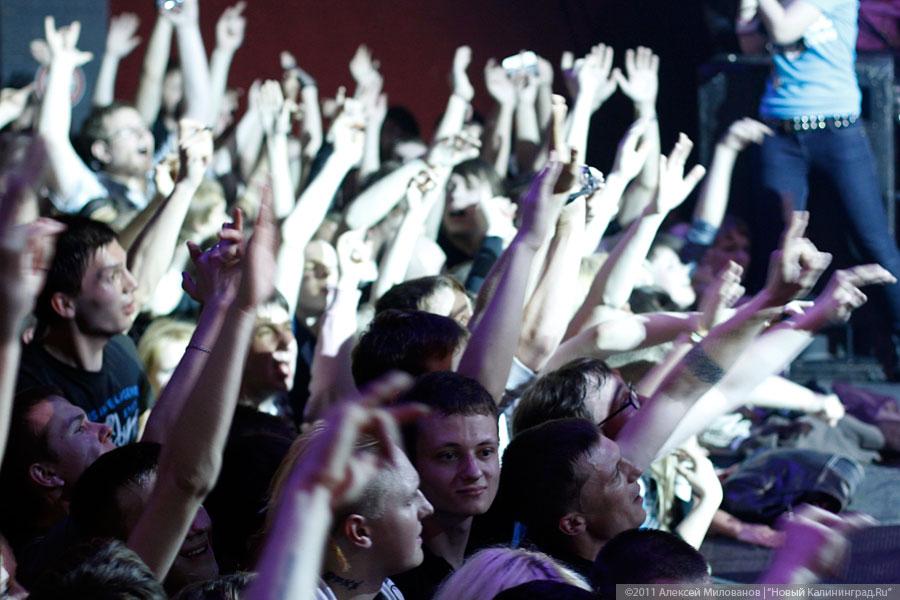 "Поэт и гражданин": фоторепортаж "Афиши Нового Калининграда.Ru"