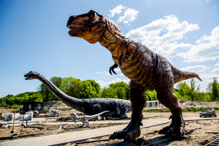 Янтарный комбинат планирует открыть динопарк в июле (фото) (видео)