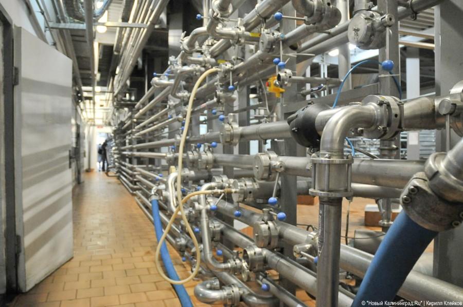 100-летие завода «Остмарк»: фоторепортаж "Нового Калининграда.Ru"