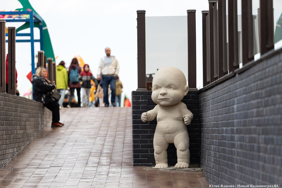 И рыба, и мясо: в Зеленоградске открылся гастрономический «Фиштиваль» (фото)