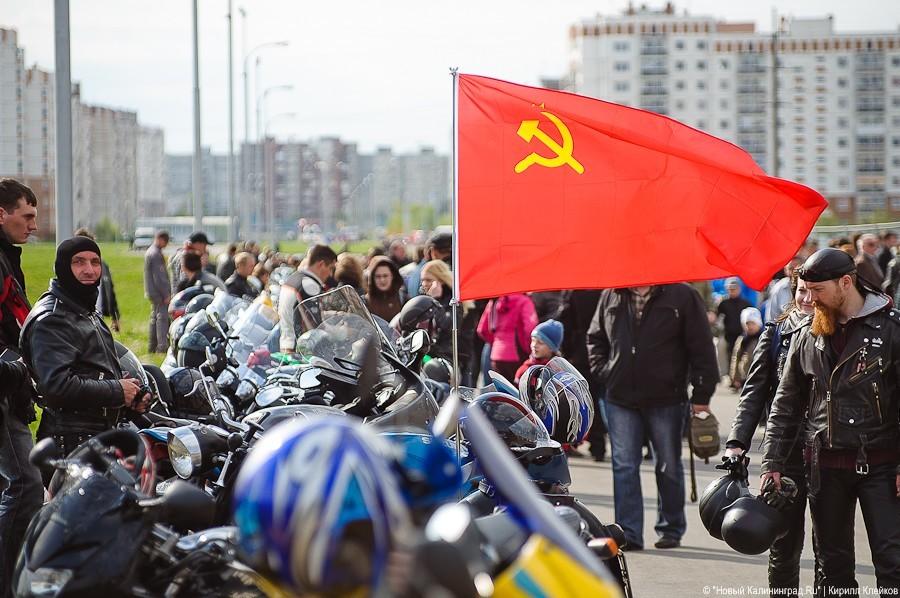 "И снова на коне": фоторепортаж "Афиши Нового Калининграда.Ru"
