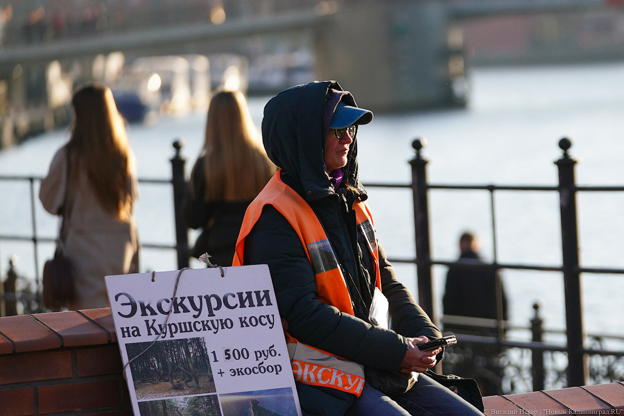 Локдаун по-калининградски: город и его жители в объявленные властями нерабочие дни (фото)