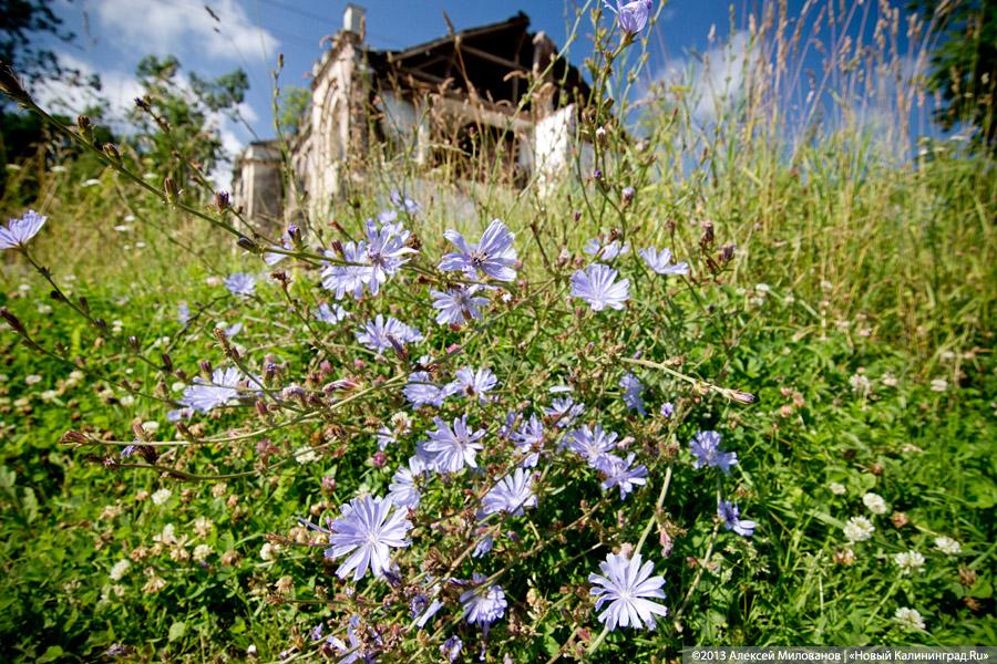 Остатки роскоши прусского барокко: усадьба в Рощино в проекте «Пустые дома»
