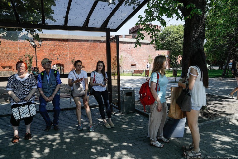 Фото — Виталий Невар, «Новый Калининград»