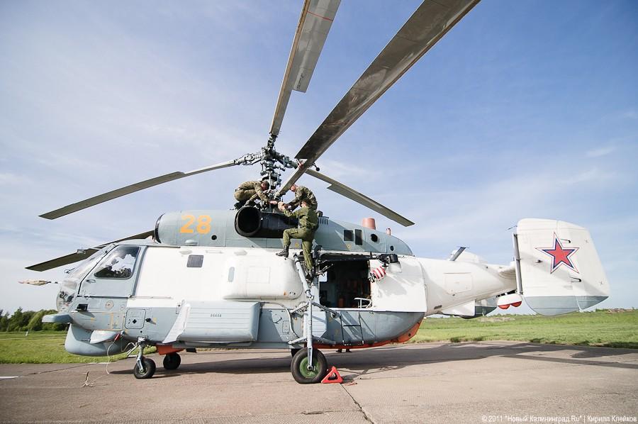 "Прилетит вдруг волшебник": фоторепортаж "Нового Калининграда.Ru"