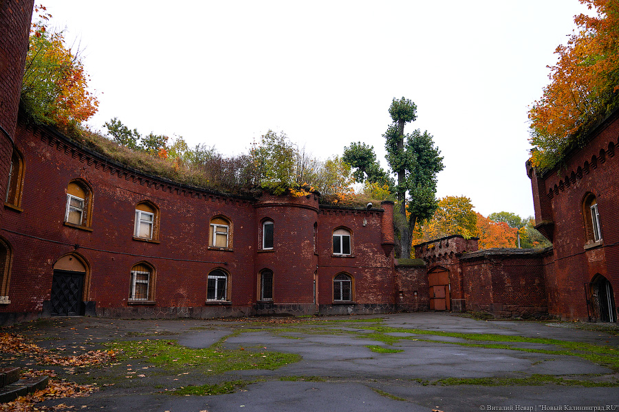 Фото: Виталий Невар / Новый Калининград