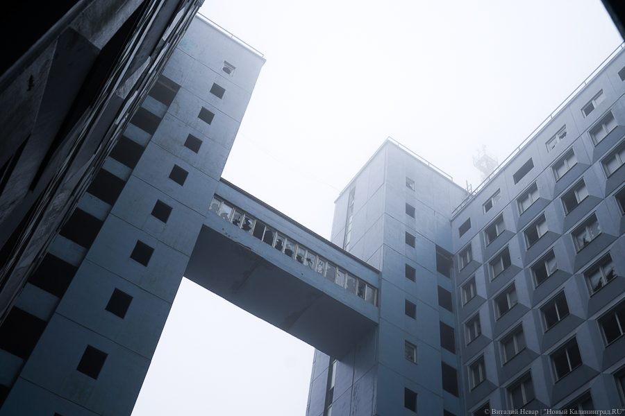 Виталий Невар / Новый Калининград