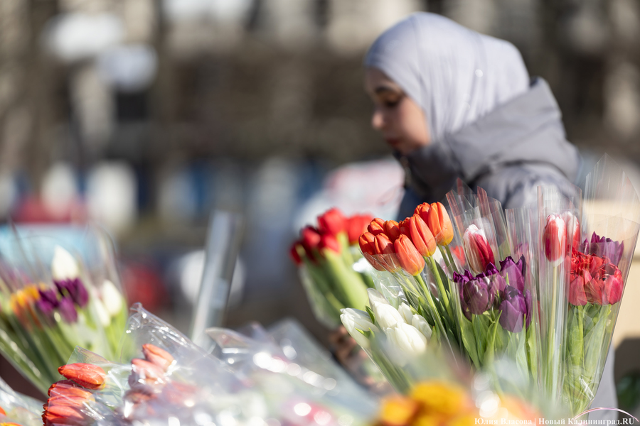 Кругом мимозы и тюльпаны: как выглядят улицы Калининграда 8 марта (фото)