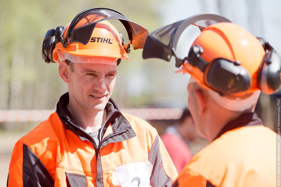 Лесной распил: как проходят соревнования лесорубов (фото)