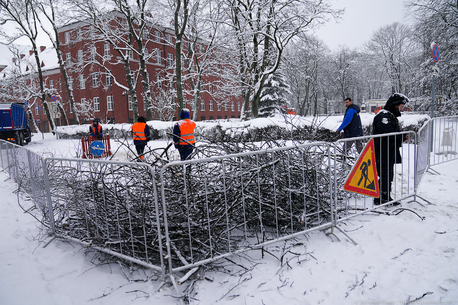 «И ты не бойся»: в Калининграде прошла новая акция в поддержку Навального (фото)