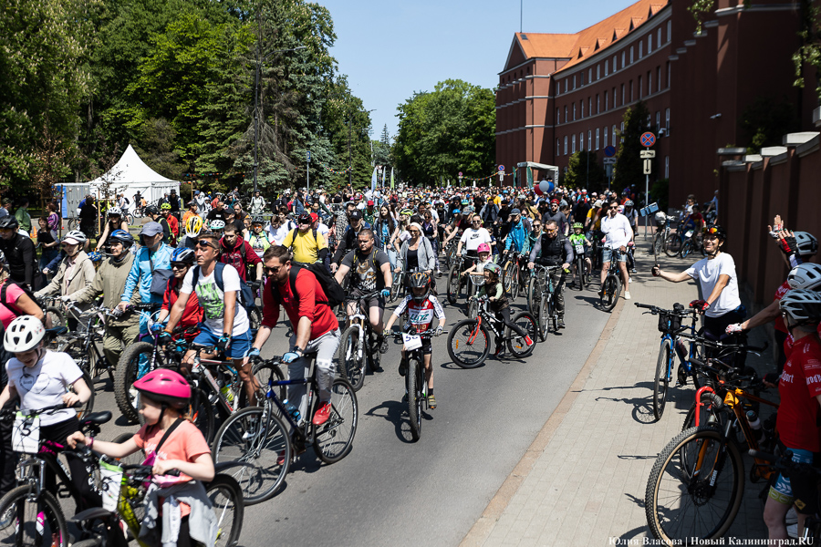 Катись оно всё: в Калининграде прошёл День колеса (фото)