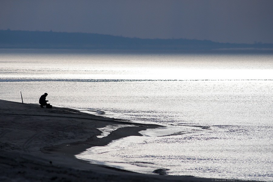 Горыныч и центнер тротила: саперы Балтфлота провели взрывные учения (фото)