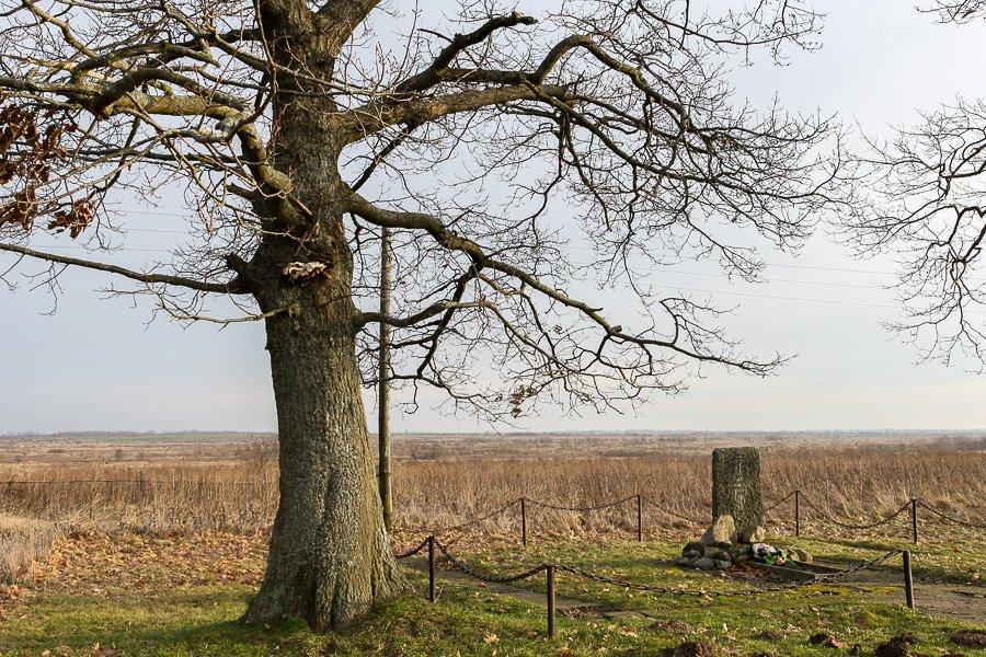 История, замурованная в плитку: как в области отремонтировали мемориалы Первой мировой