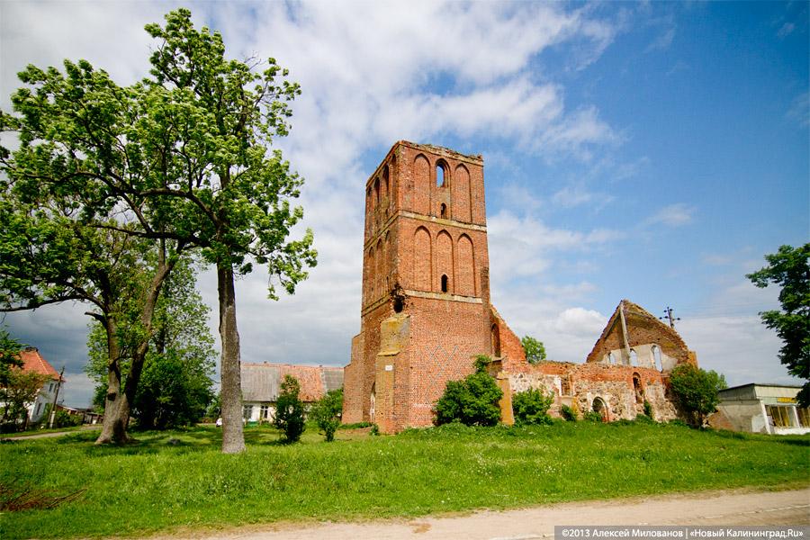 Навоз и куры: кирха 14-го века в поселке Каштаново стала пастбищем для скота