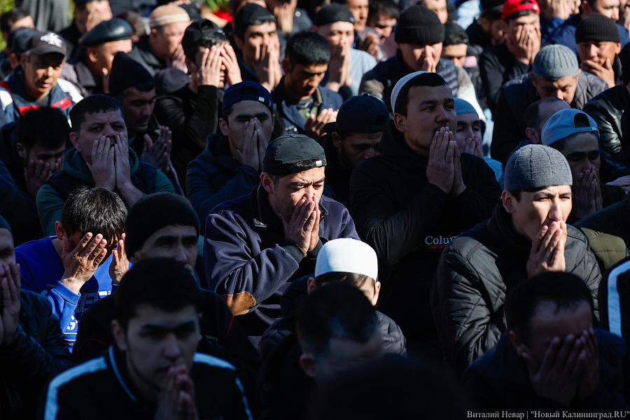 Сотни мусульман совершили под Калининградом молитву в честь Ураза-Байрам (фото)
