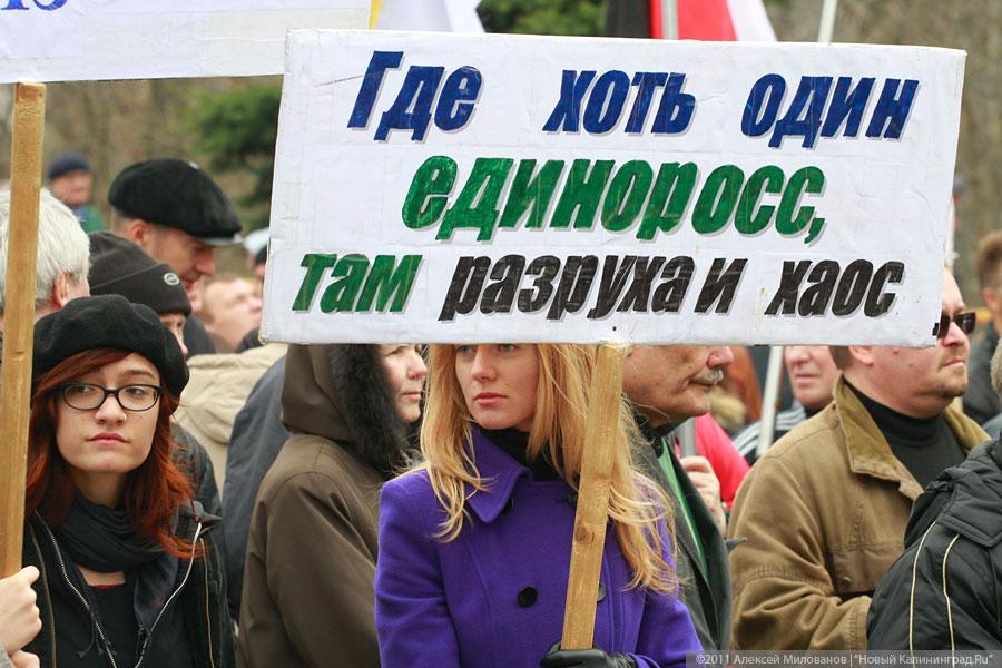 "Что показала весна": репортаж "Нового Калининграда.Ru"