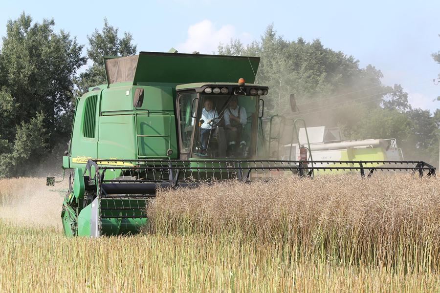 Круговое замыкание: как губернатор правдинские сельхозугодья инспектировал (фото)