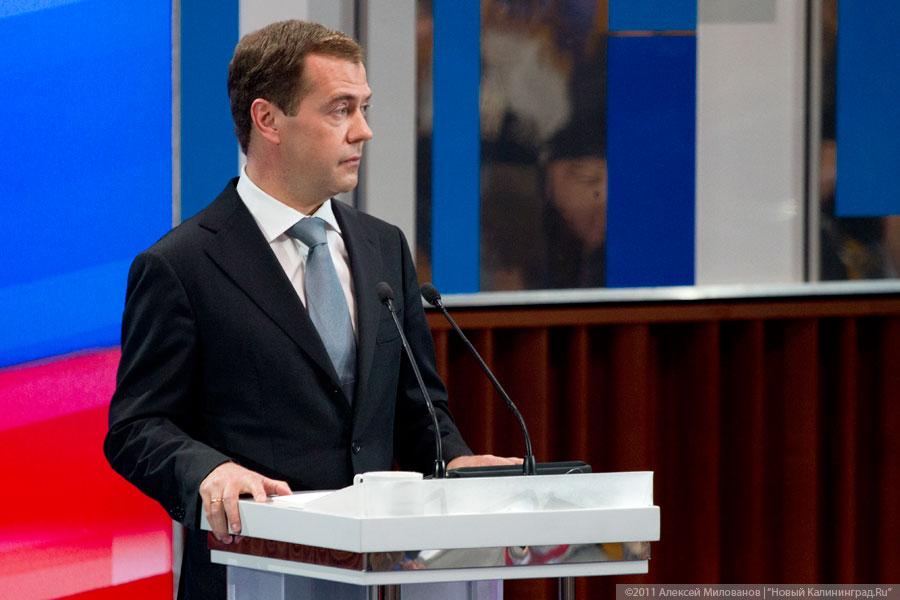 "Олень на 100%": фоторепортаж "Нового Калининграда.Ru"