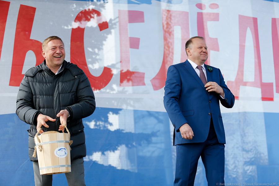 Суточного посола и под шубой: как прошел День селедки