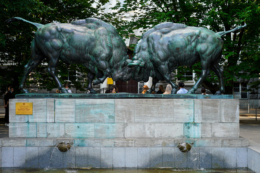 Футуролог Пётр и машина времени: «Фестивальная дирекция» представила спектакль-прогулку 