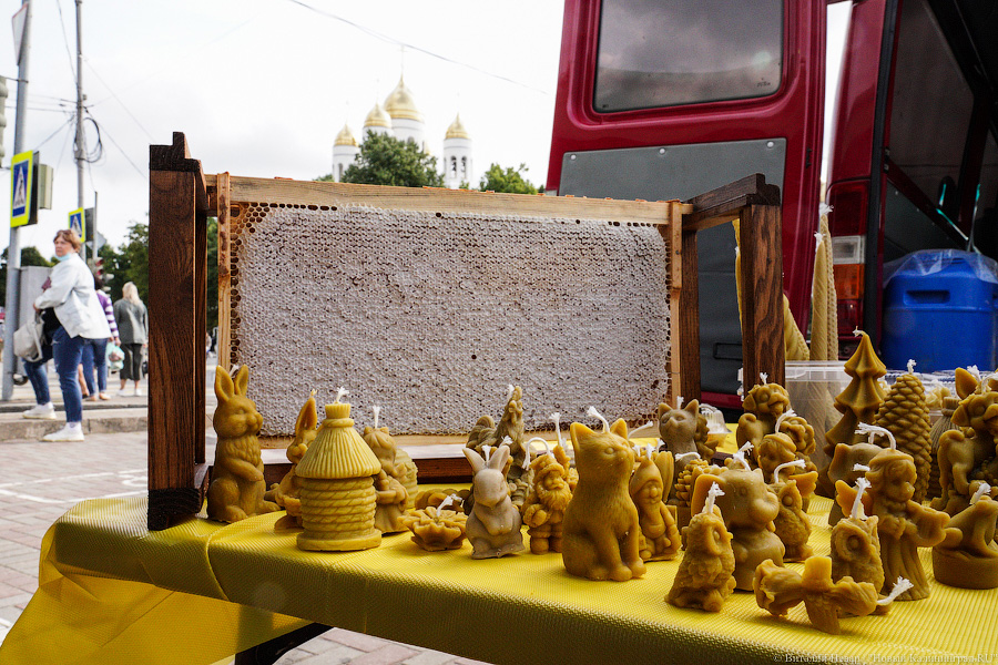 Базар-вокзал: как проходит сельхозярмарка на площади Победы в Калининграде