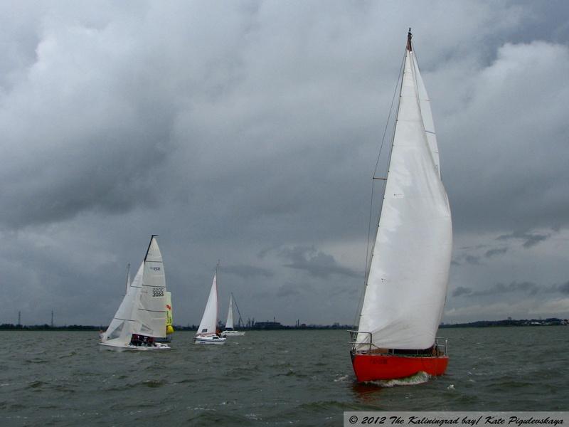 «Чемпионы залива»: репортаж с трансграничной регаты на кубок Калининградского залива