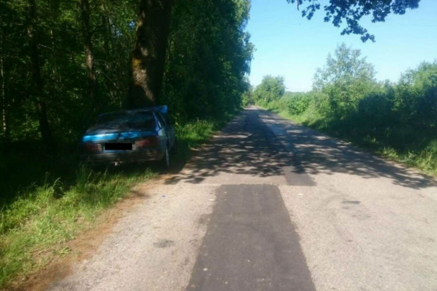 Под Светлым «Мазда» врезалась в дерево, двое в больнице (фото)