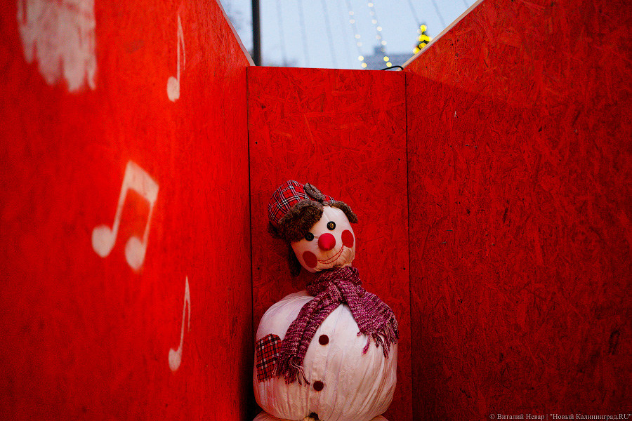 Девочки, записываемся на ободочки: в Калининграде открылась новогодняя ярмарка на острове Канта (фото)