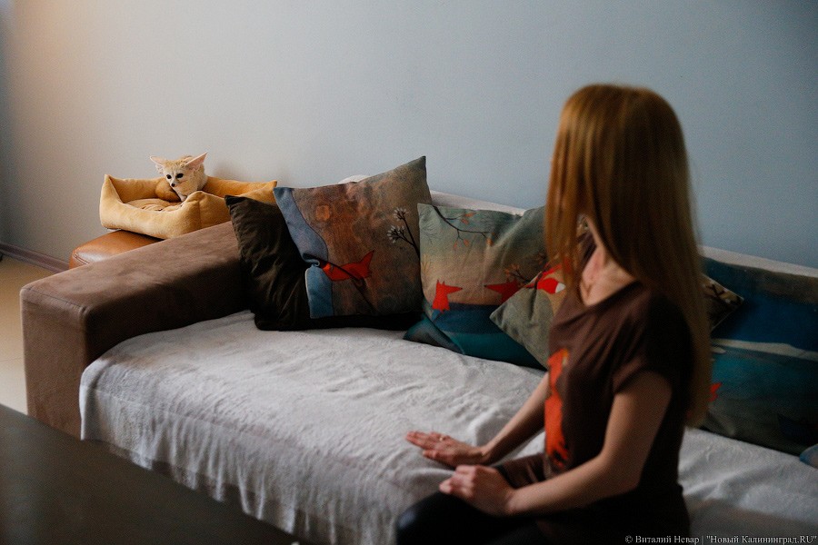 Онлайн-кинотеатры готовы предоставить бесплатную подписку для россиян на карантине