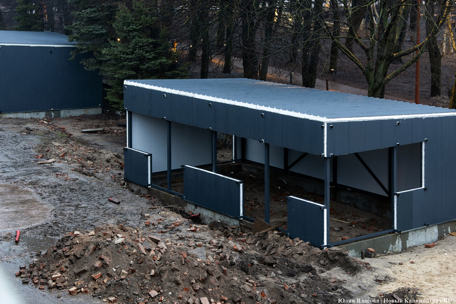 Настоящие подземелья Кёнигсберга: что находится в открывшемся провале на острове Канта (фото)