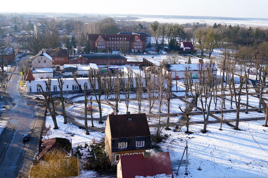 Виталий Невар / Новый Калининград