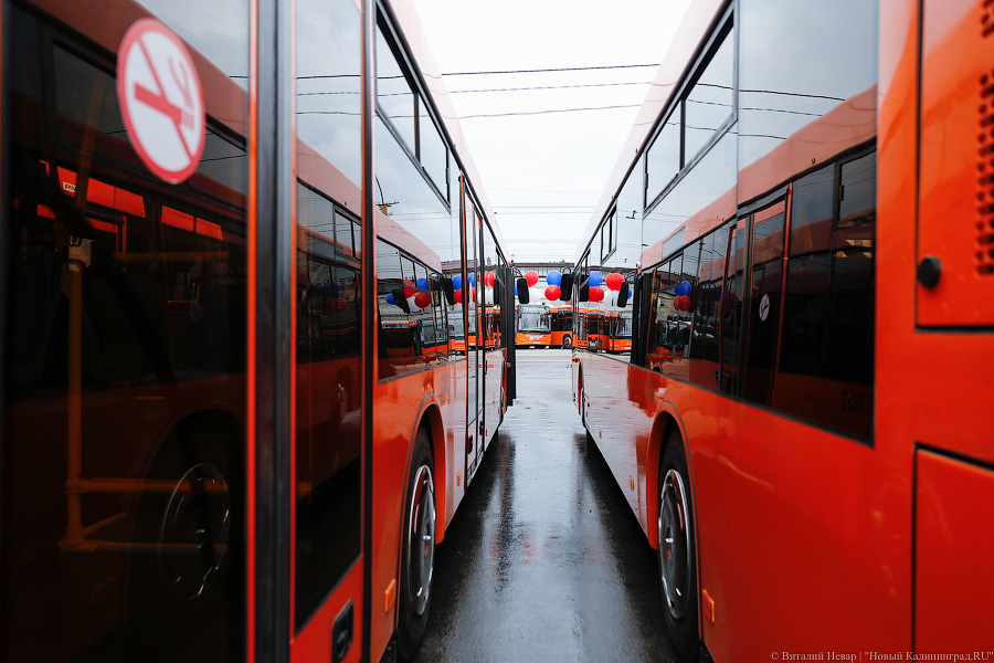 Оранжевое счастье: Калининграду передали 100 новых автобусов МАЗ (фото)
