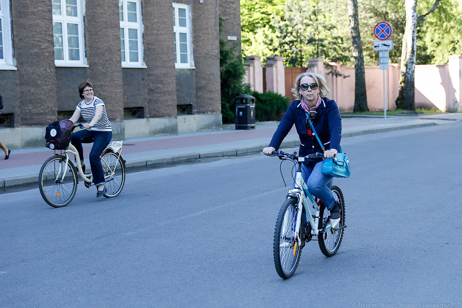 Приколесили: как калининградские чиновники в пятницу на работу добирались