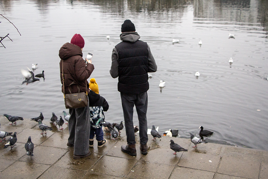 При назначении единого пособия планируют учитывать переводы денег на карту